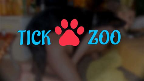 art of zoo xxx|TickZoo.